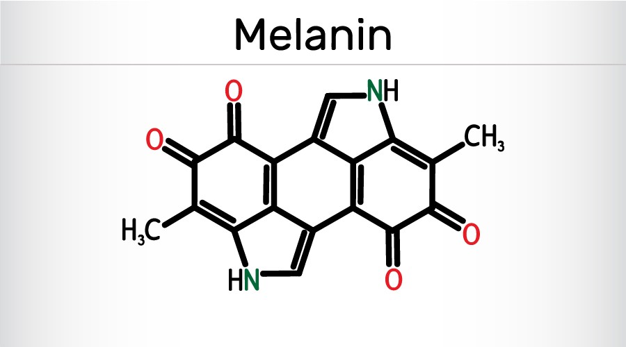 công thức melanin